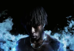 PatricKxxLee – DIARY OF AN ARSONIST 2 Album