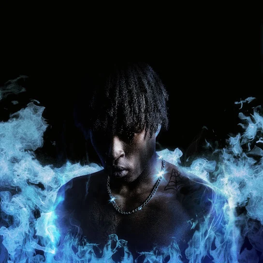 PatricKxxLee - DIARY OF AN ARSONIST 2 Album